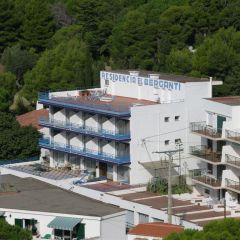DSCN8731