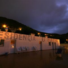 IMG_0785
