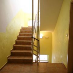 IMG_0838